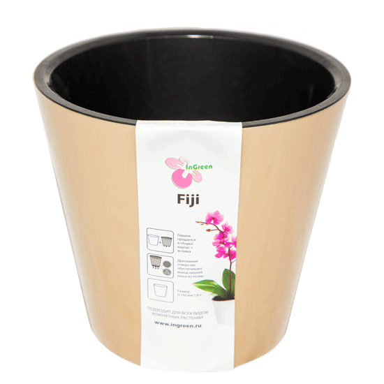 Ծաղկաման Fiji ING1553 