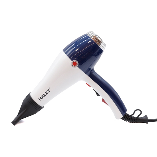 Վարսահարդարիչ HALEY HY-4011 
