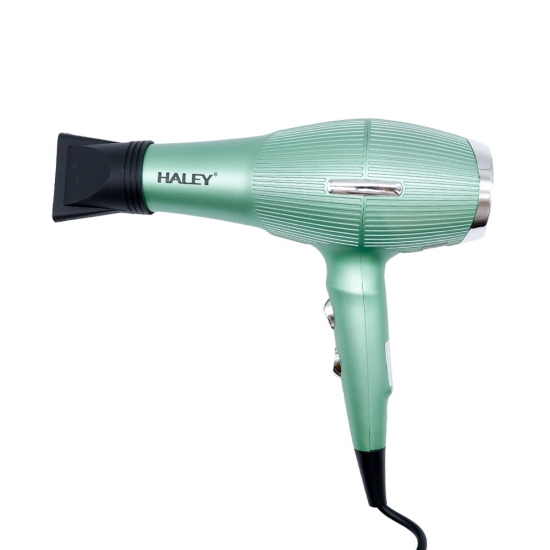 Վարսահարդարիչ Haley HY-4018
