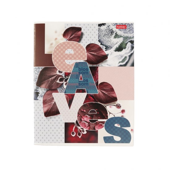 Տետր 96 թերթ Hatber VK 