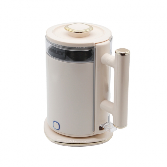 Թեյնիկ Haley HY-8913 